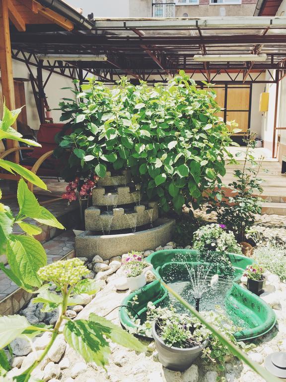 Guest House Nizama'S Place サラエヴォ エクステリア 写真